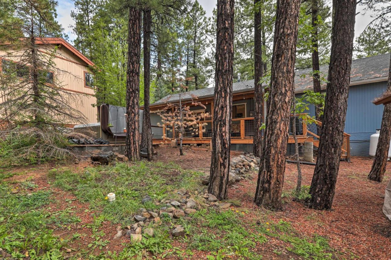 Pet-Friendly Munds Park Cabin With Hot Tub And Patio ภายนอก รูปภาพ